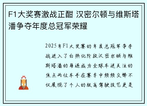 F1大奖赛激战正酣 汉密尔顿与维斯塔潘争夺年度总冠军荣耀